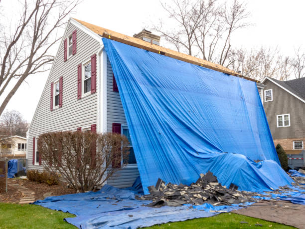 Best Shed Removal  in Williams, OR